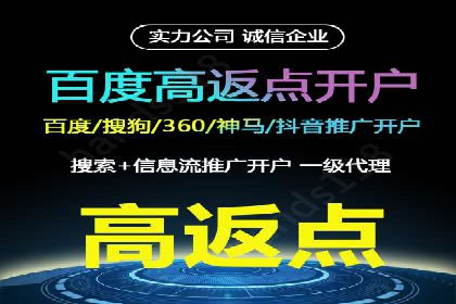 竞价排名在搜索引擎营销中的运用案例